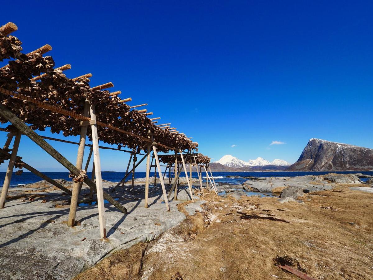 Bostad Lofoten Troll Point מראה חיצוני תמונה